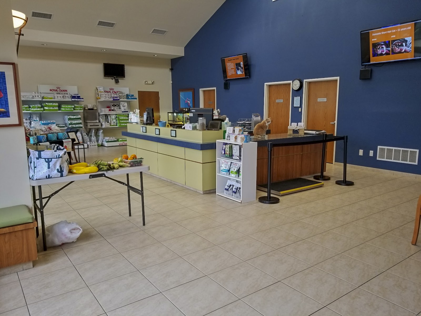 Advanced Pet Care of Oakland — photo