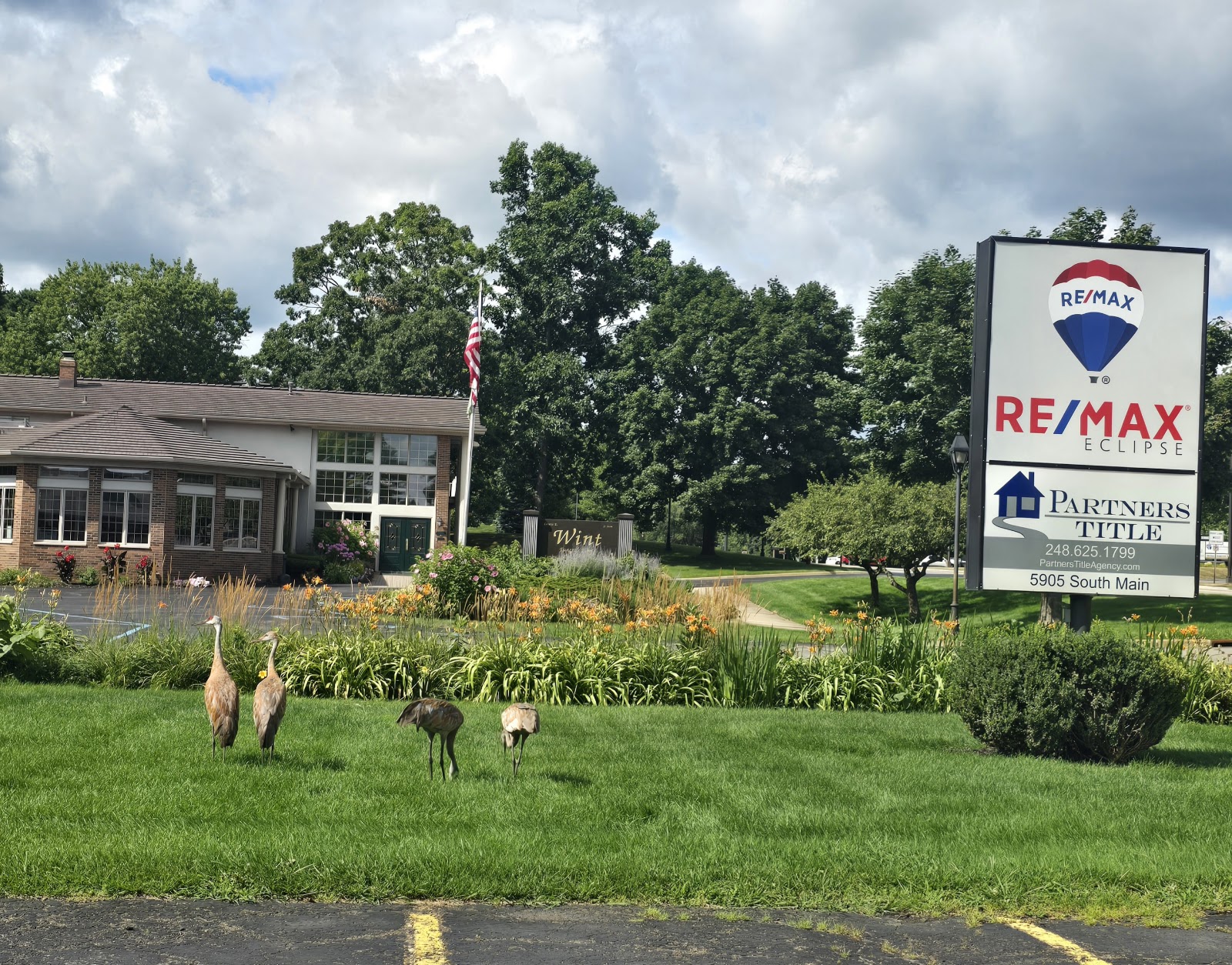 Kim Feigley, Realtor in Village of Clarkston