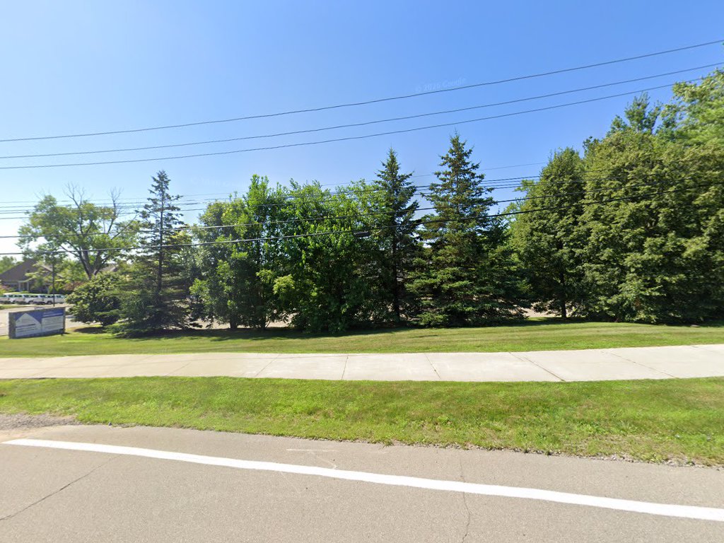 Theresa M Thomas, DO in Village of Clarkston